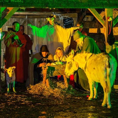 web-burgweihnacht-193-2014_12_13_1d_6205-020 Burg Satzvey