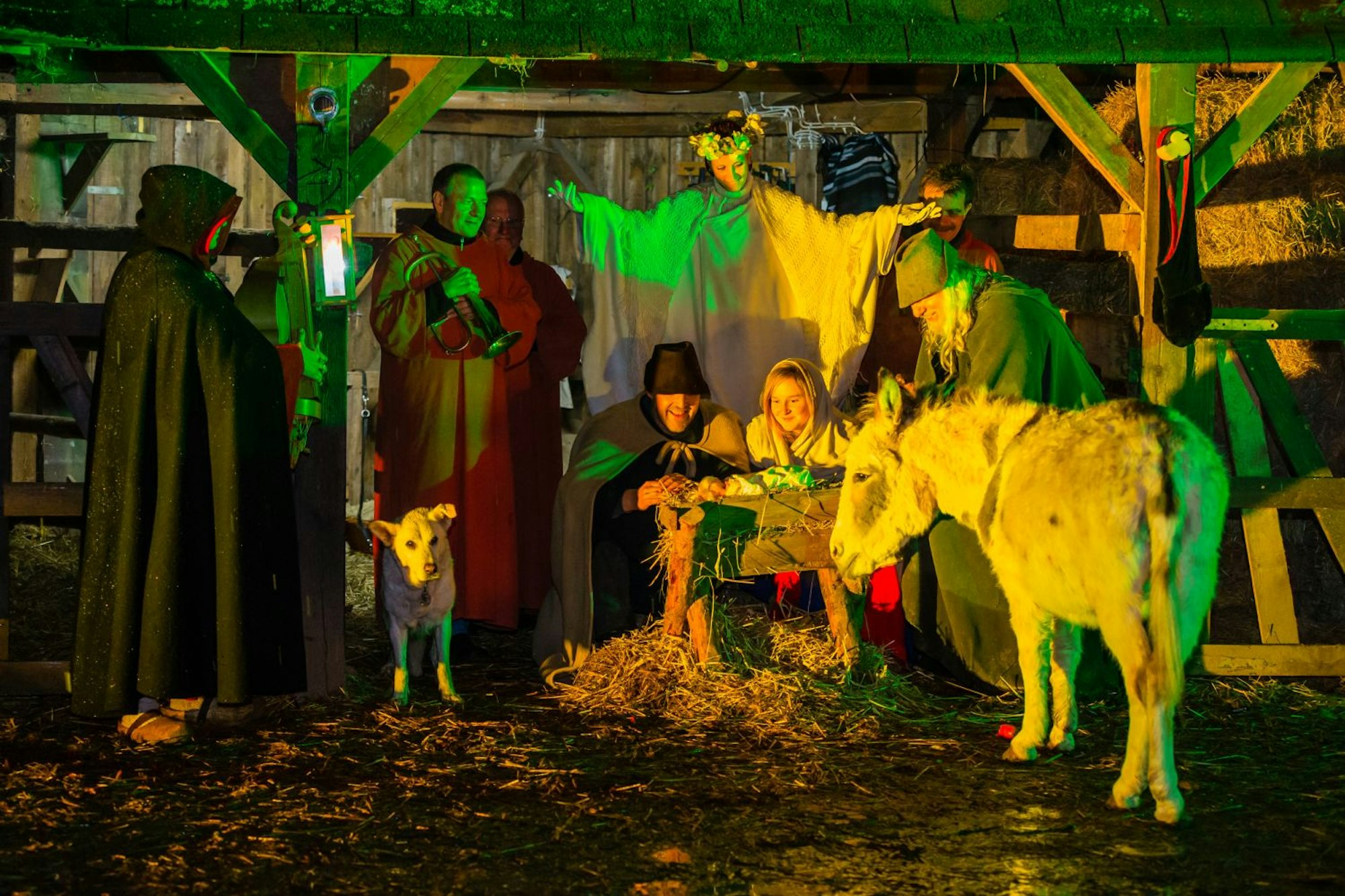 web-burgweihnacht-193-2014_12_13_1d_6205-020 Burg Satzvey