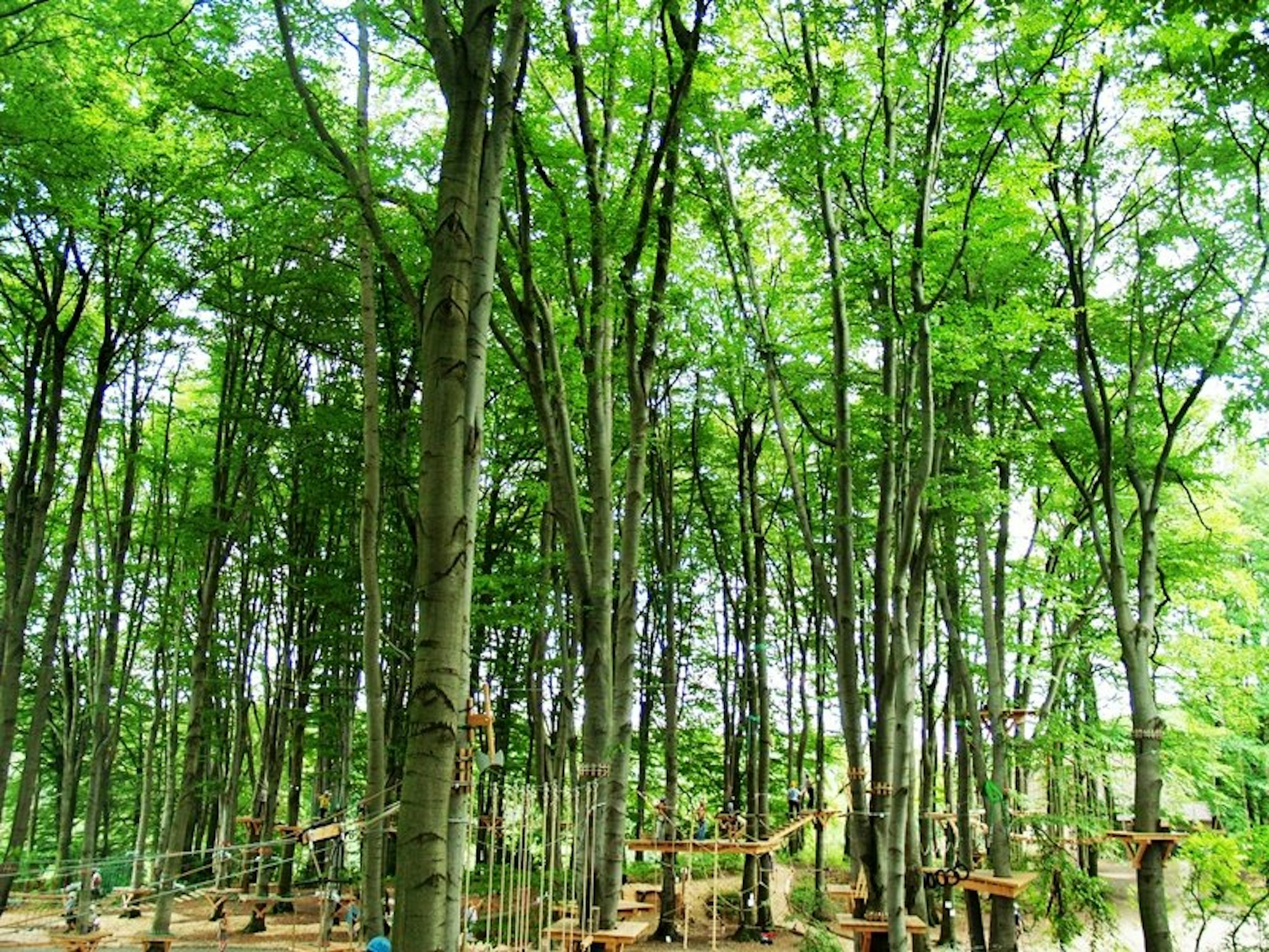 hochseilgärten - odenthal