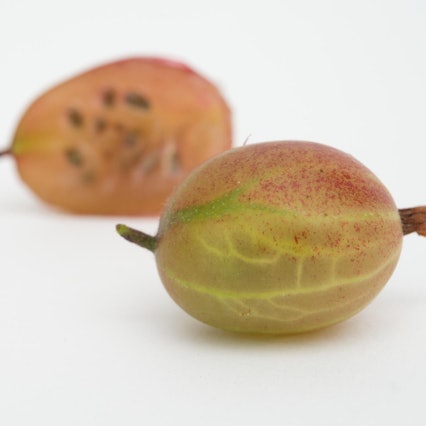 stachelbeere aufgeschnitten