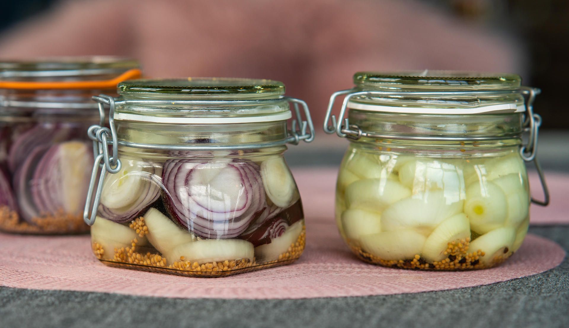 fermentation zwiebel