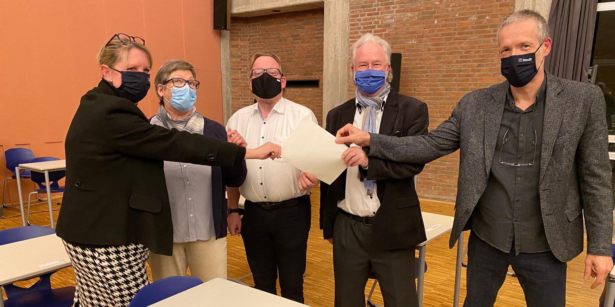 CDU,_Gruene_plus_Mau