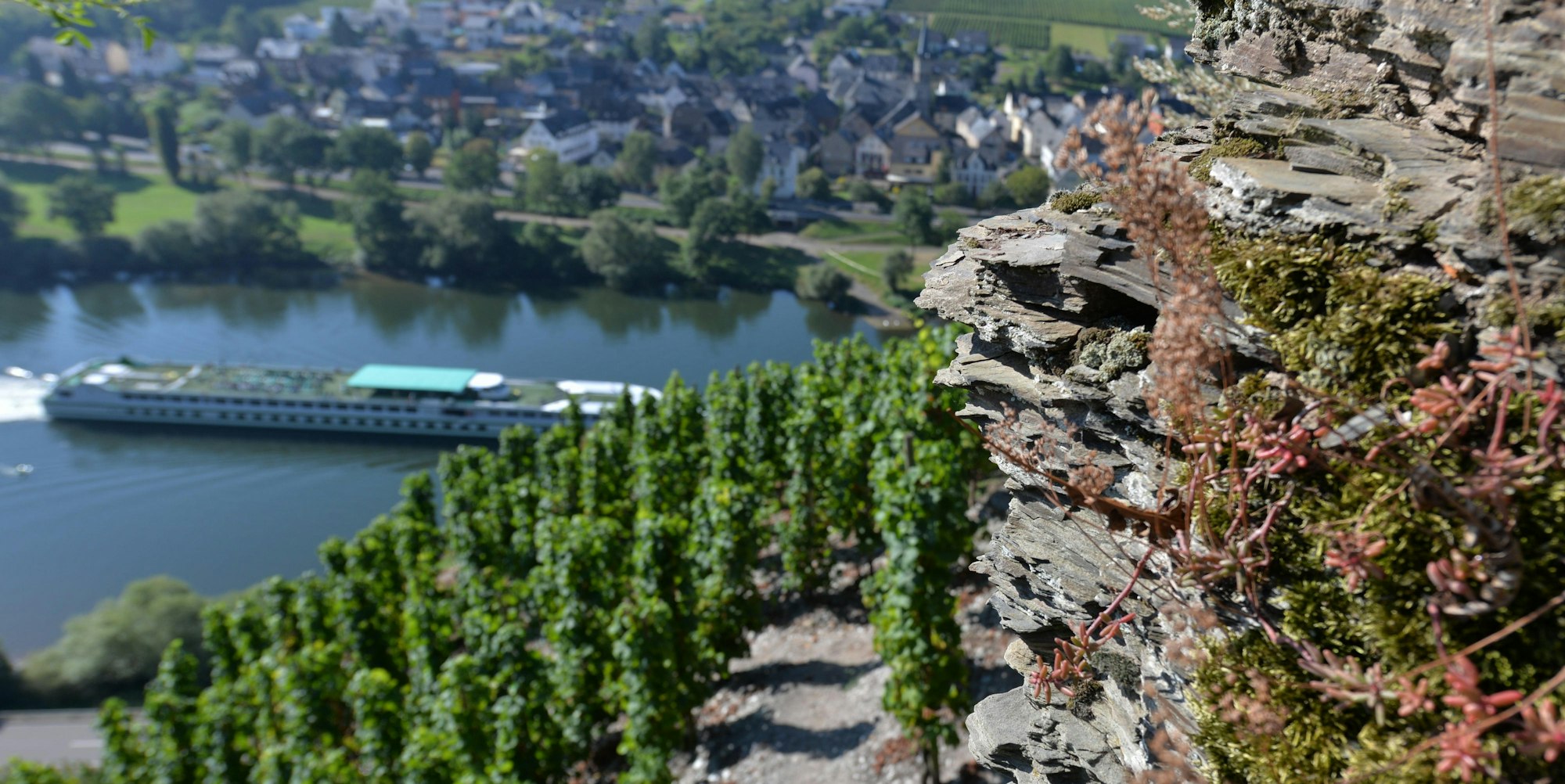 Mosel Weinberge 130916