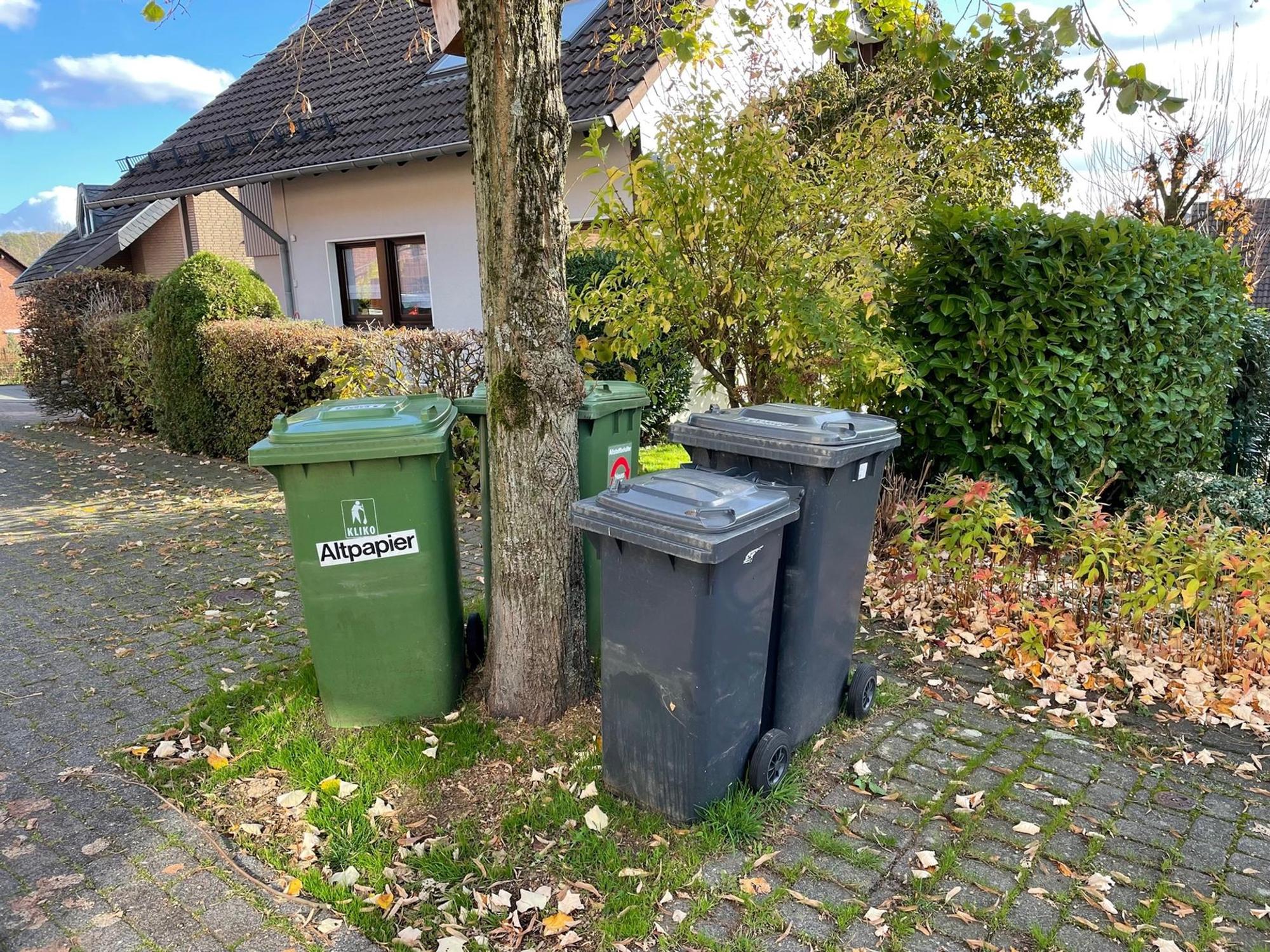 An einem Baum stehen alte Mülltonnen, die noch nicht abgeholt wurden.