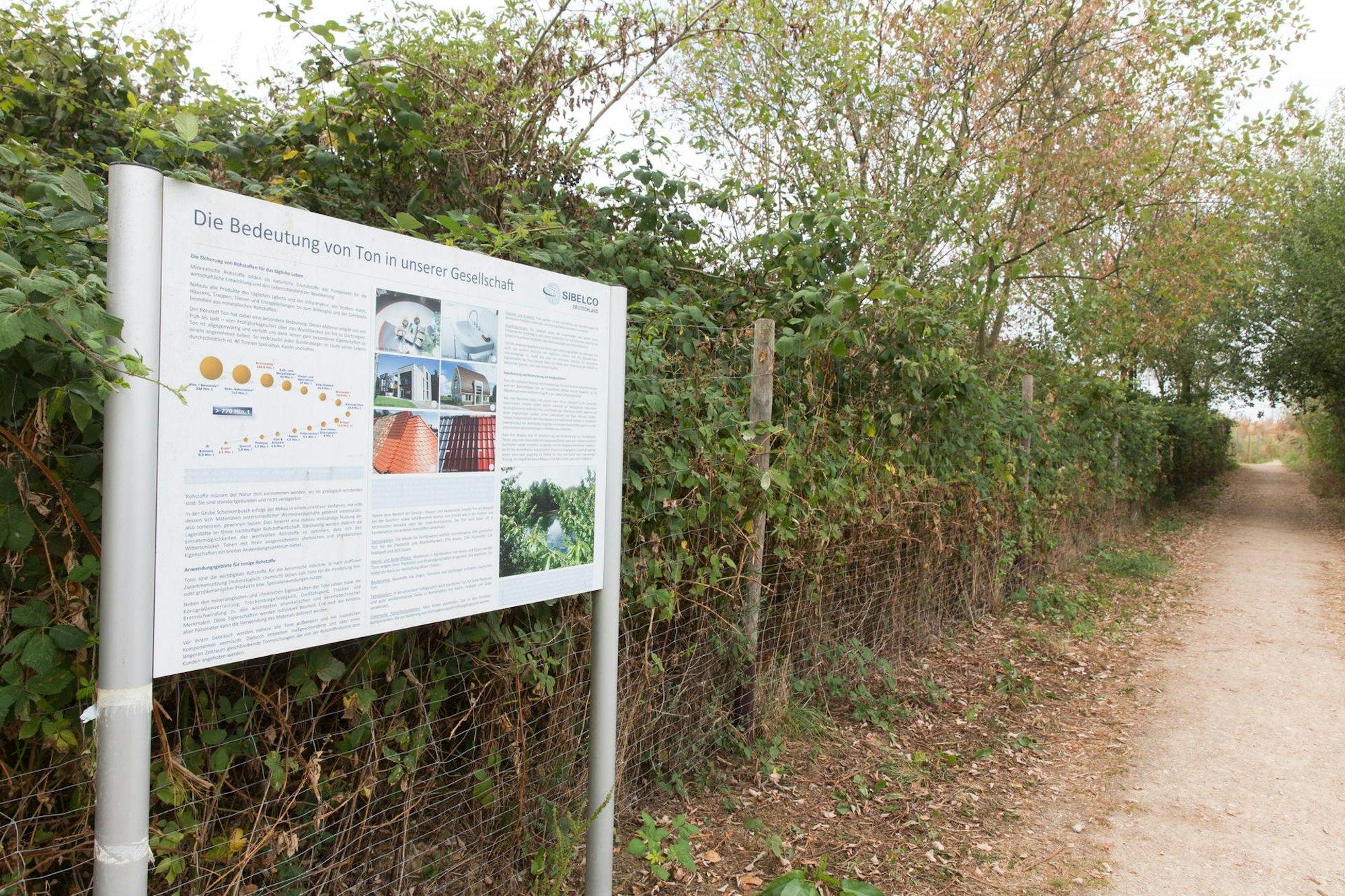 Witterschlick_Sommerspaziergang_22_keh