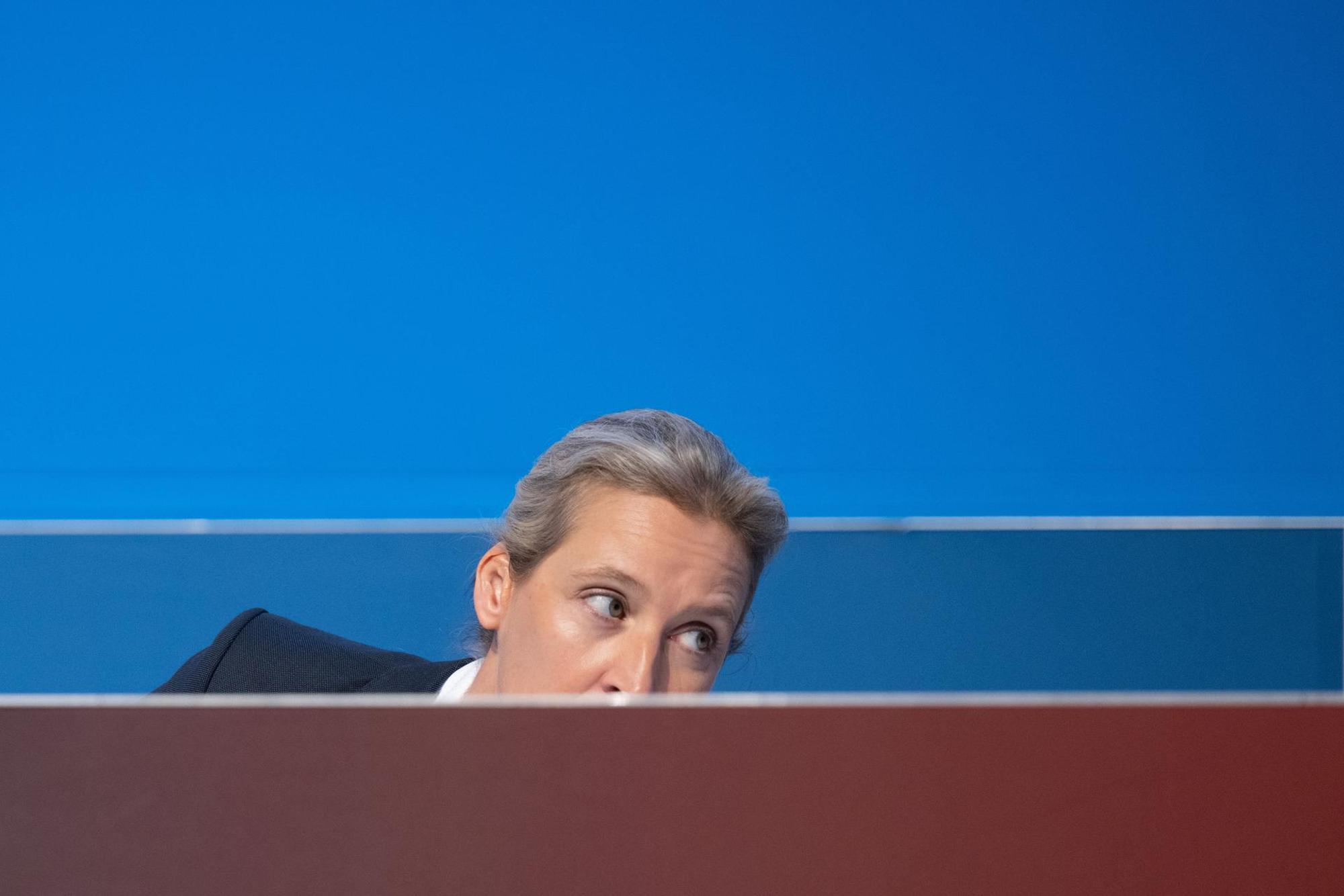 Weidel dpa neu