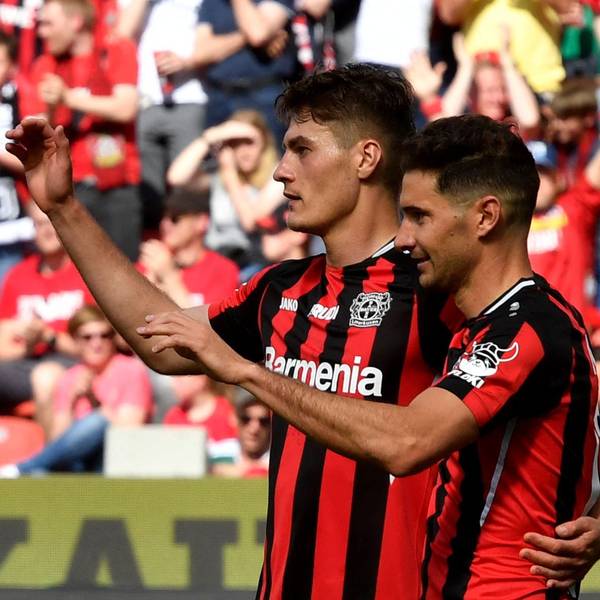 Bayer-Sturmbild
