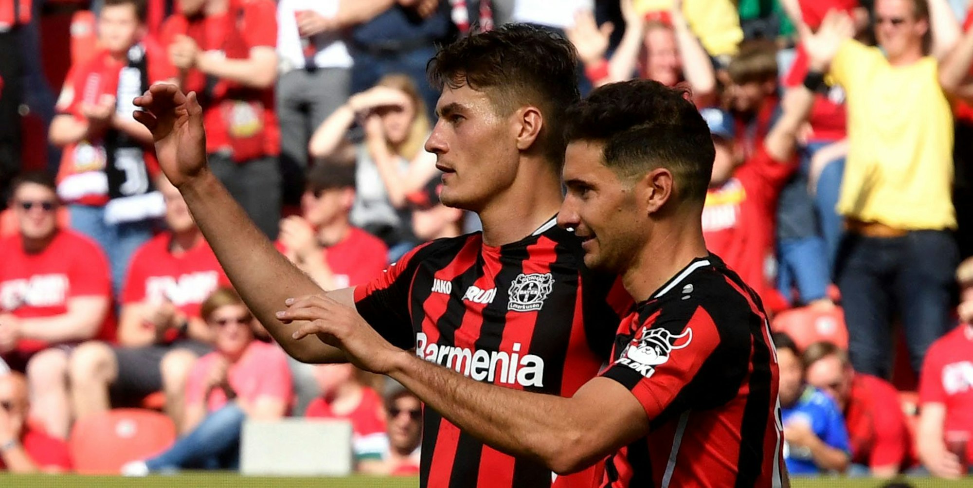 Bayer-Sturmbild