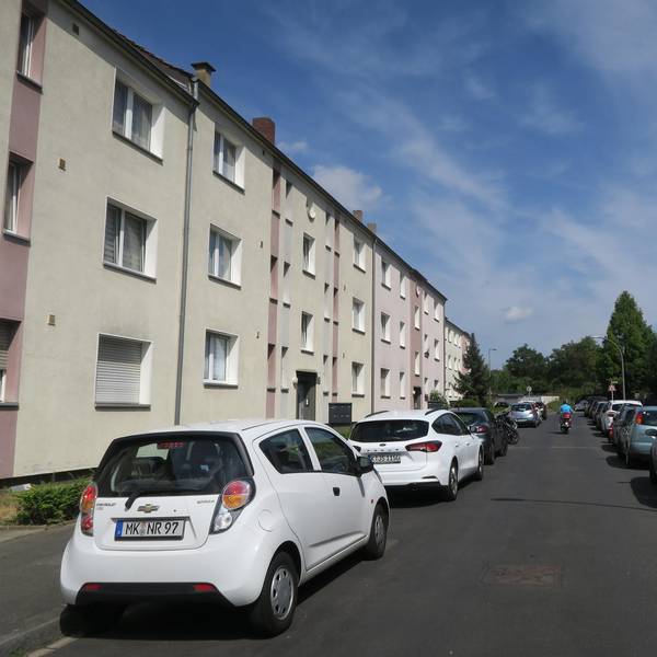 Bäume Kalk