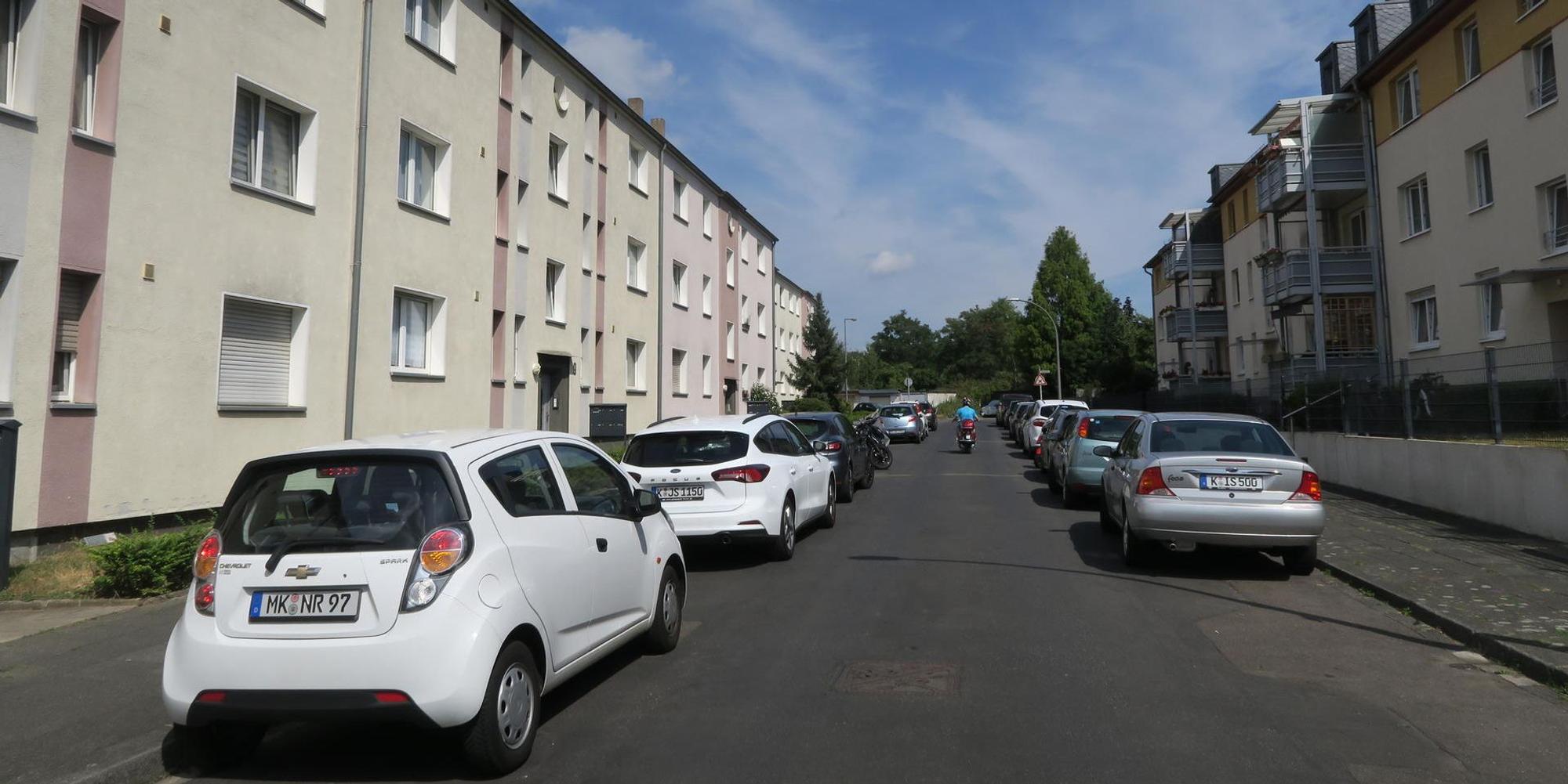 Bäume Kalk