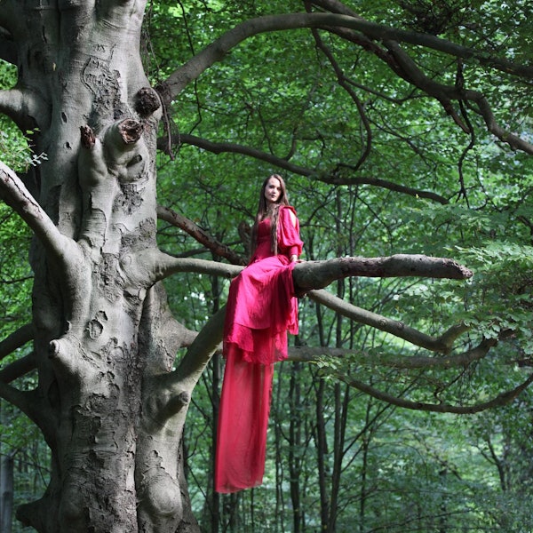 Baumfee Bergisch Gladbach