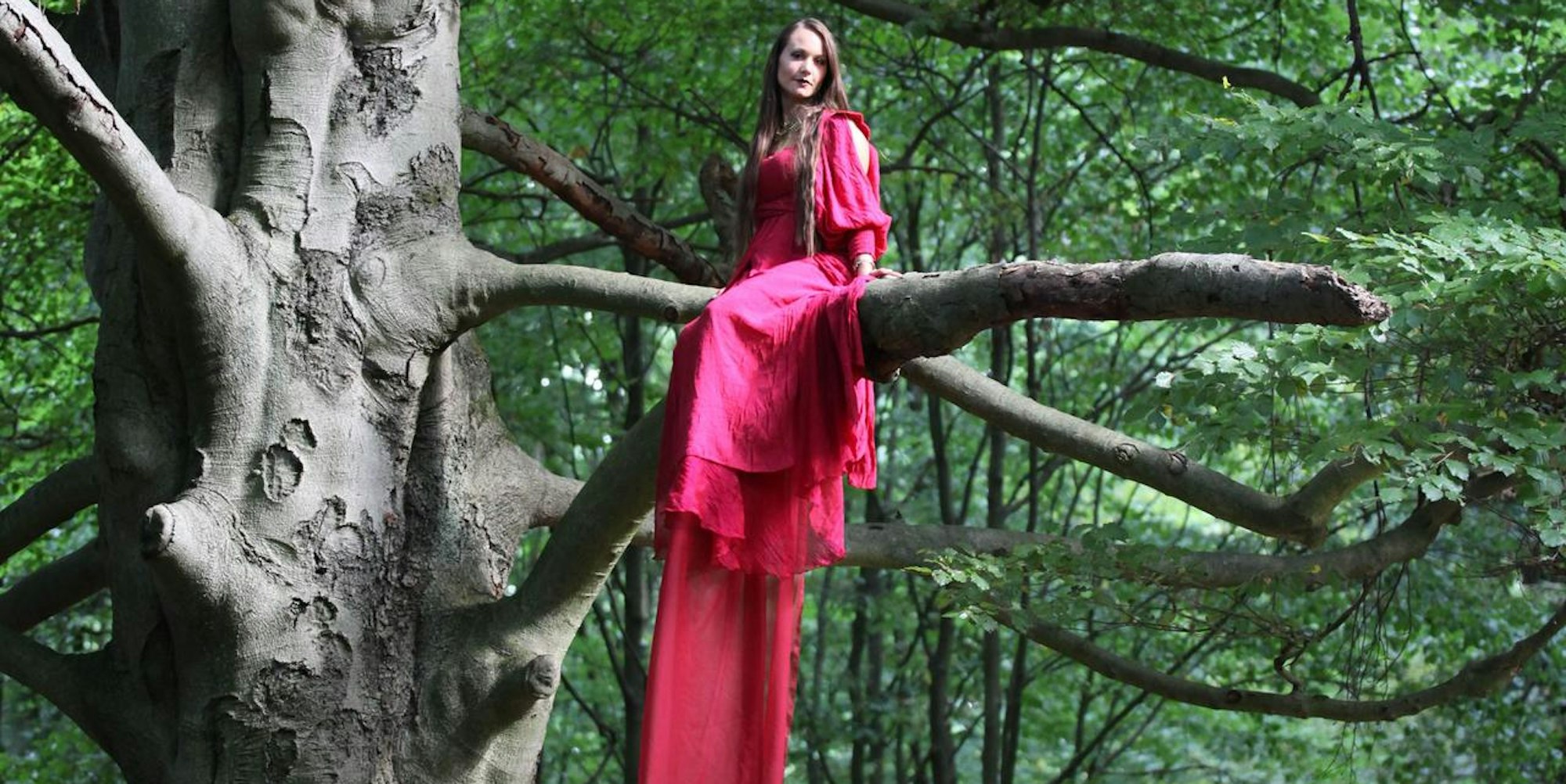 Baumfee Bergisch Gladbach