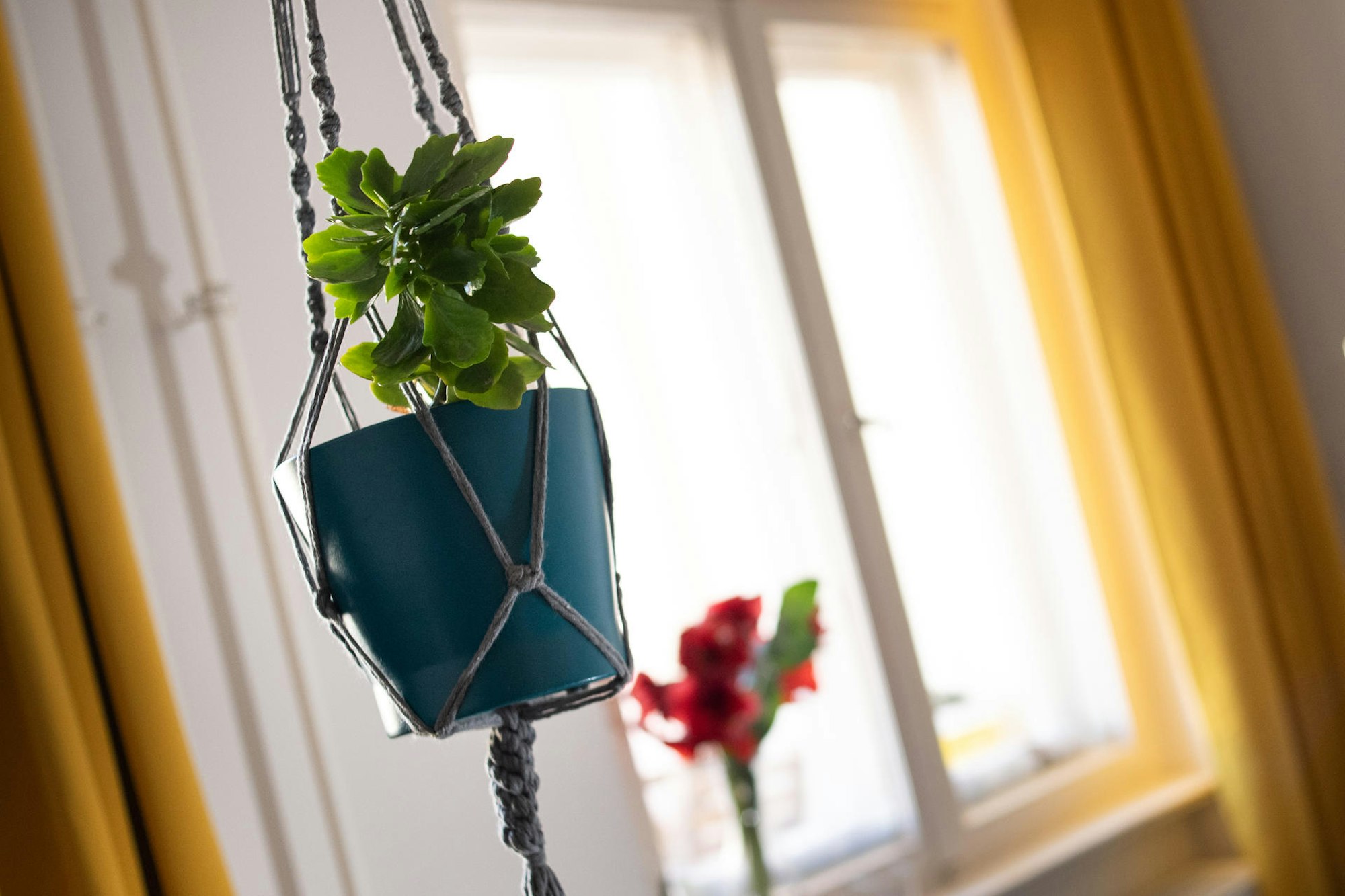 Richtig_geknotet_Mak_67527275