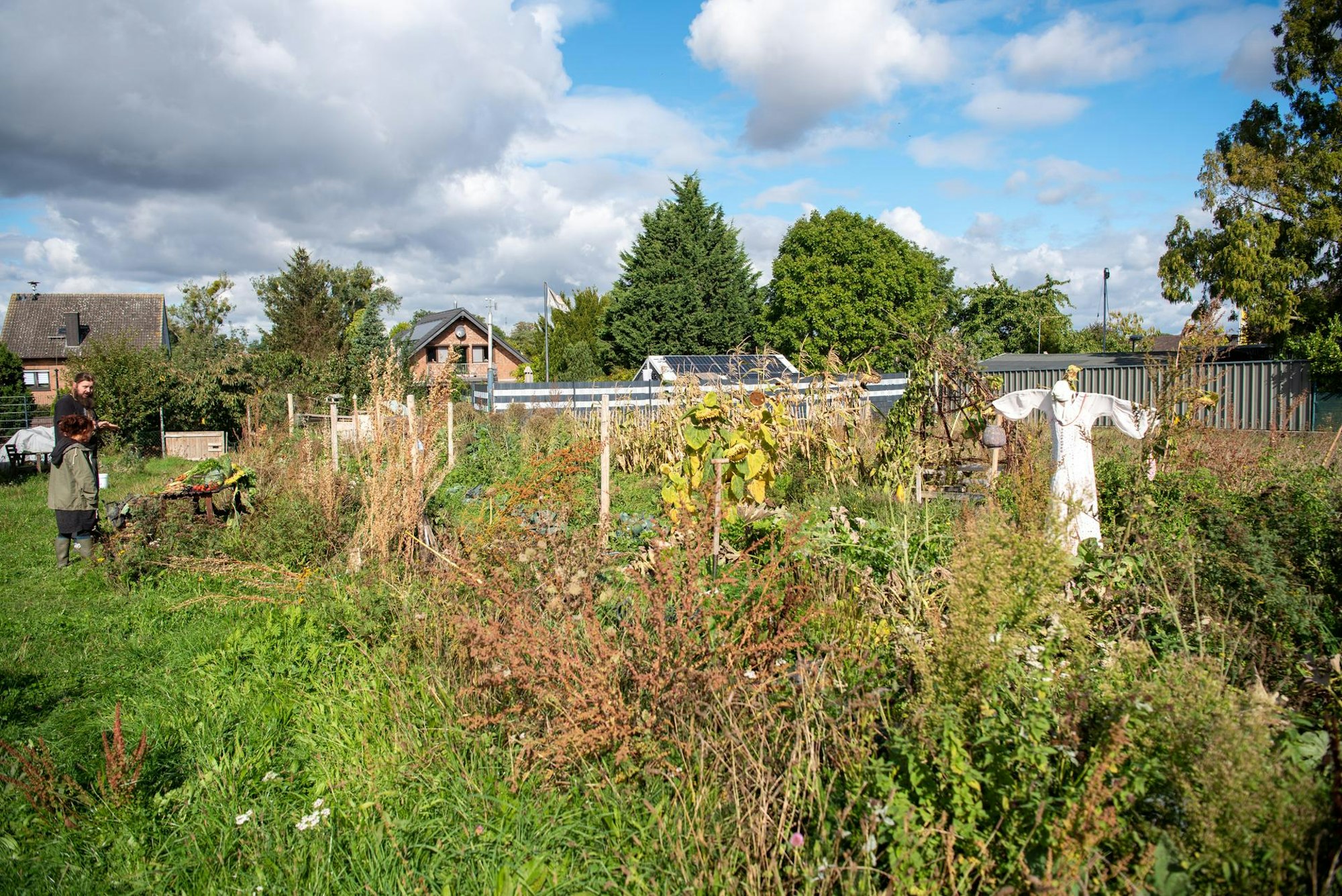 Selbstversorger-Garten