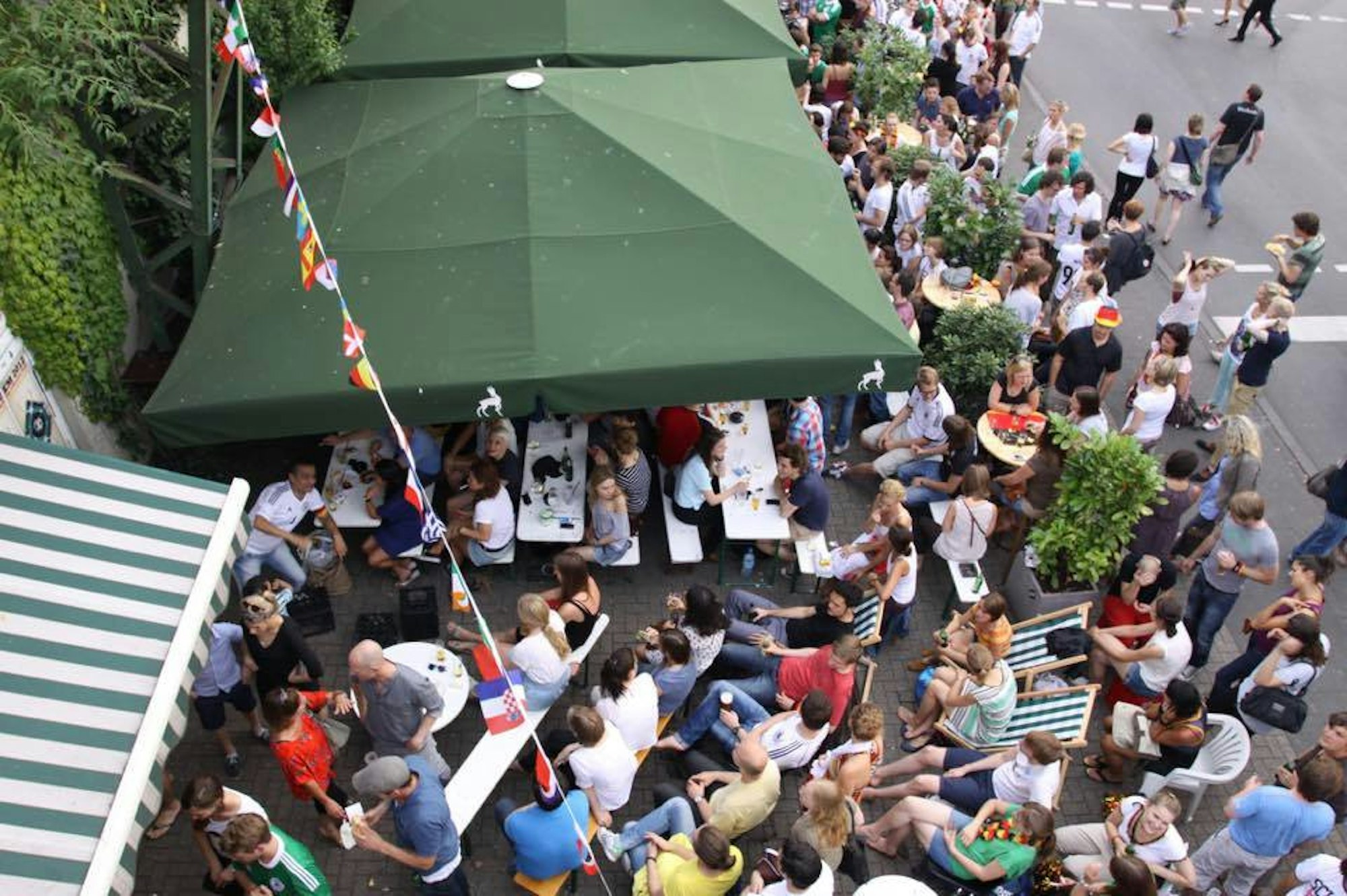 reh fussballgucken von oben