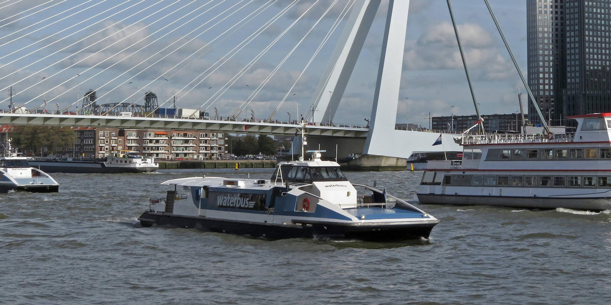 waterbus rotterdam wasserbus