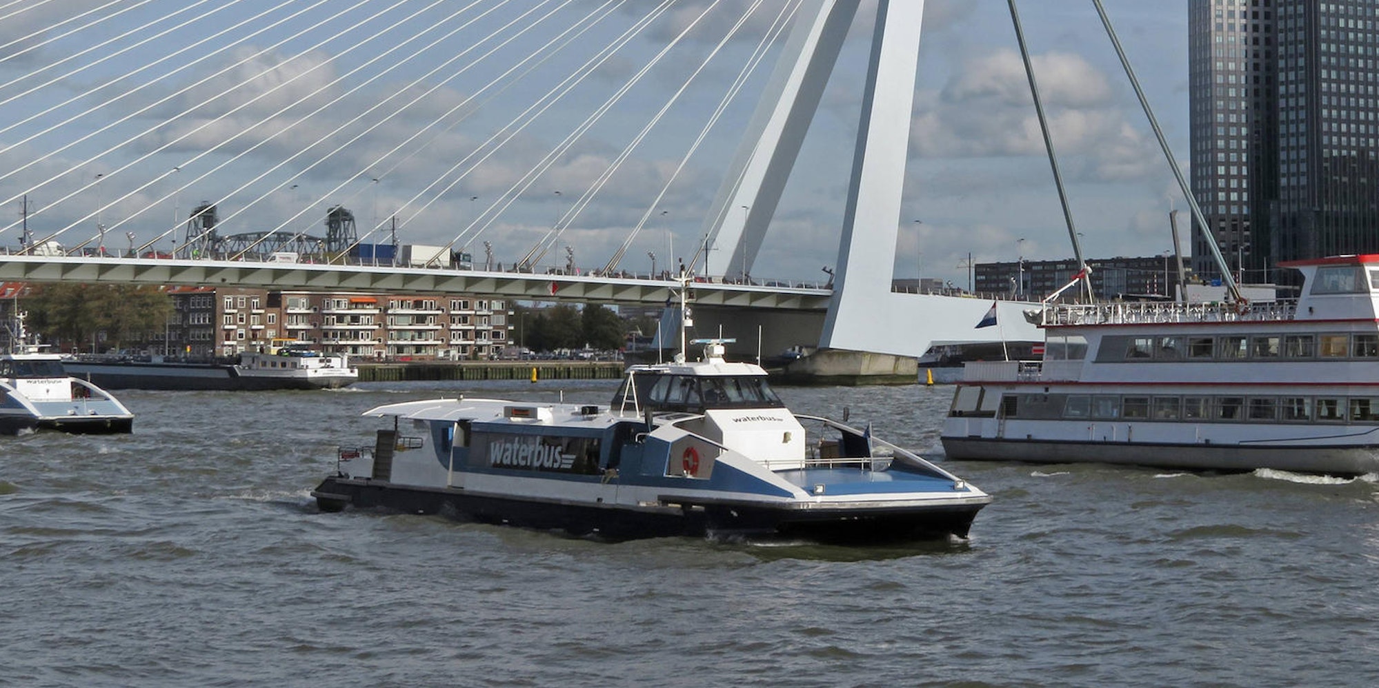 waterbus rotterdam wasserbus