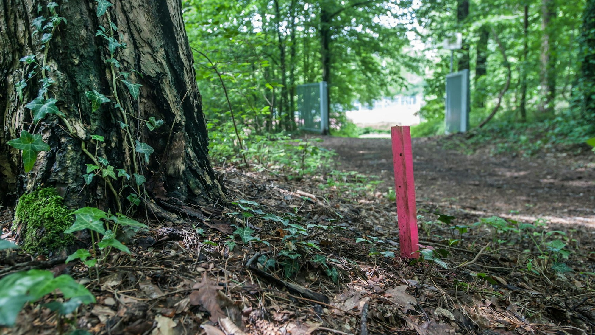 Ein Signalpflock für eine Gasleitung