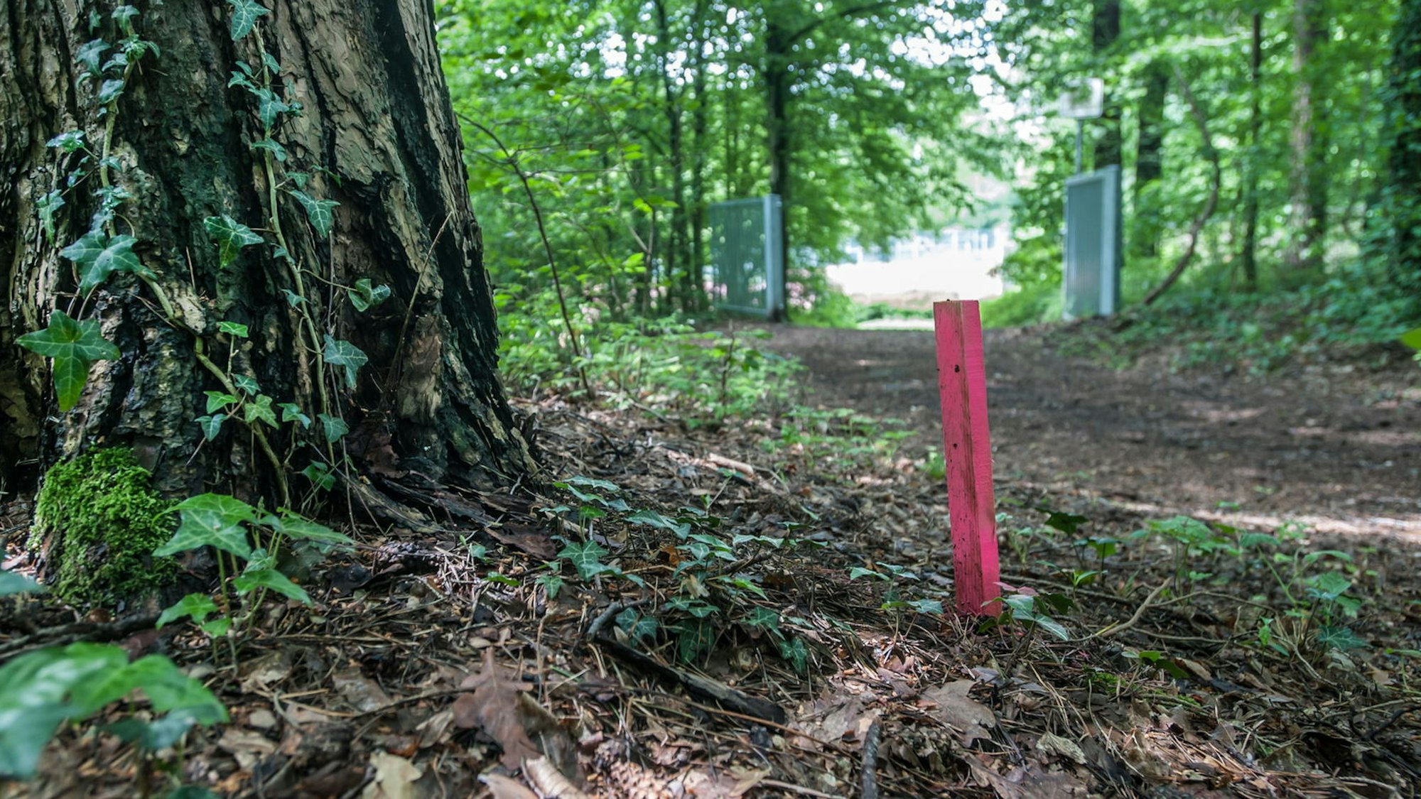 Ein Signalpflock für eine Gasleitung