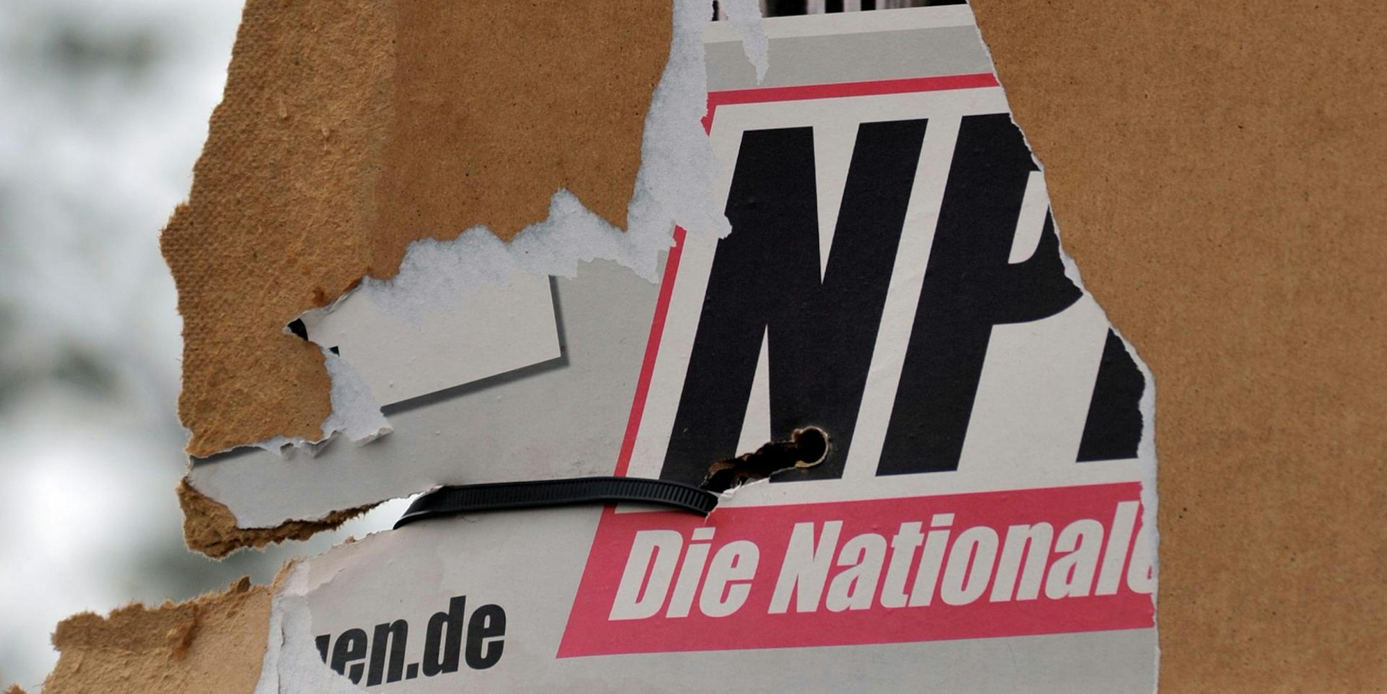 Zerrissenes Wahlplakat der NPD_dpa