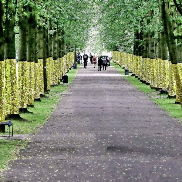 Allee1