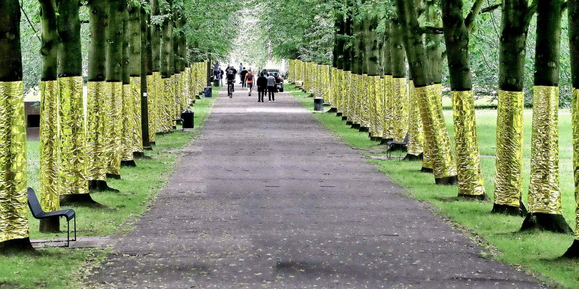 Allee1