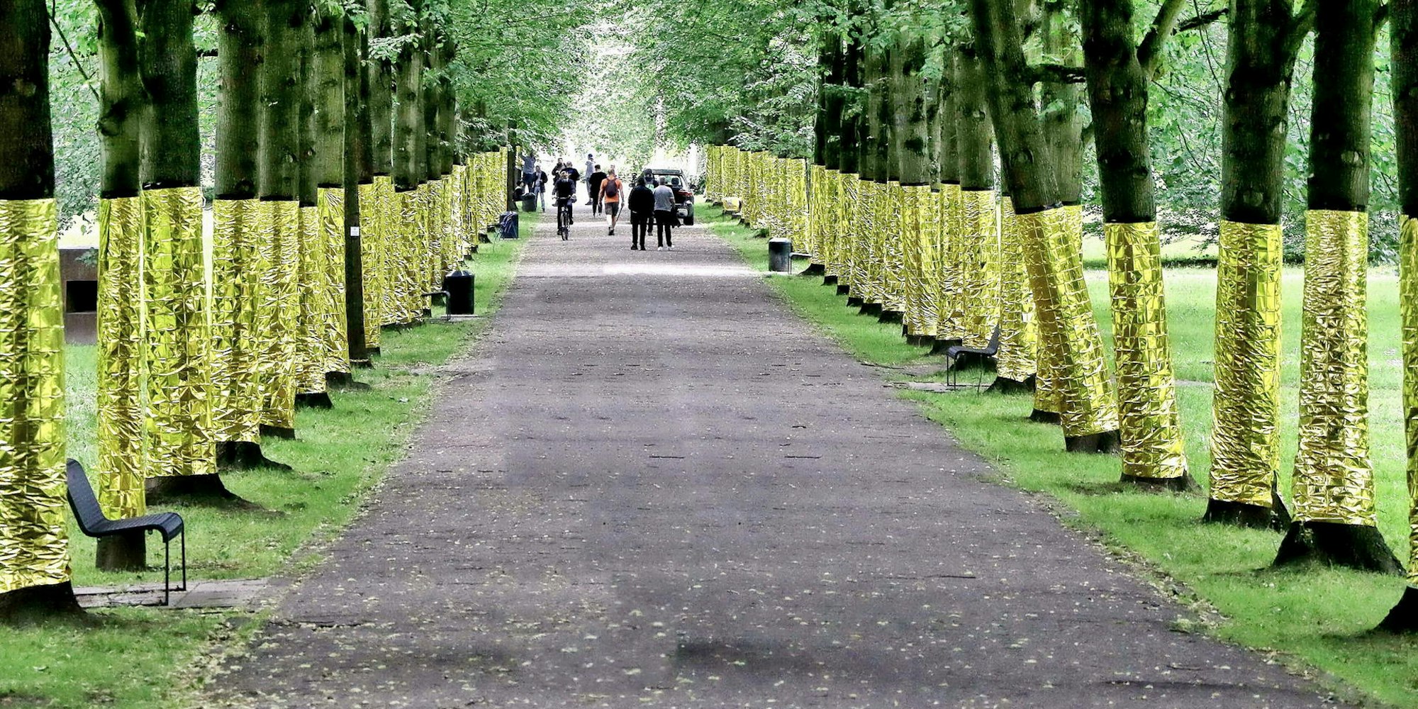 Allee1
