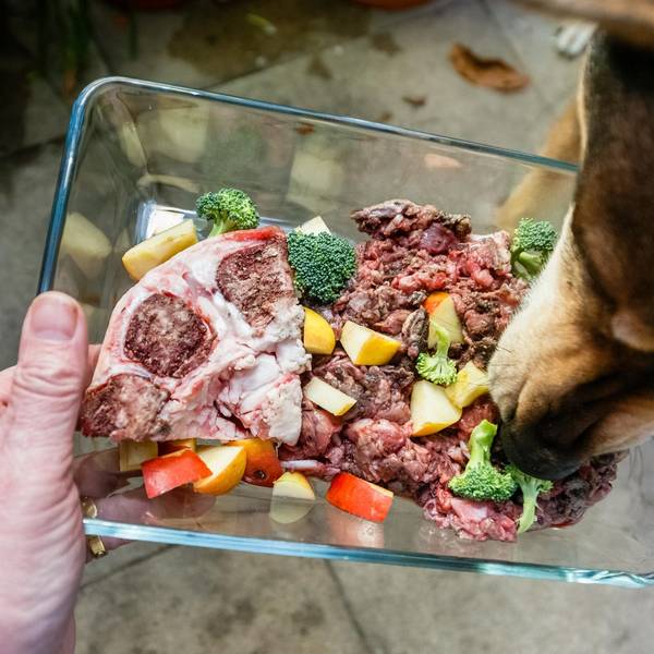 Barf_Frischfleisch_für_Hunde