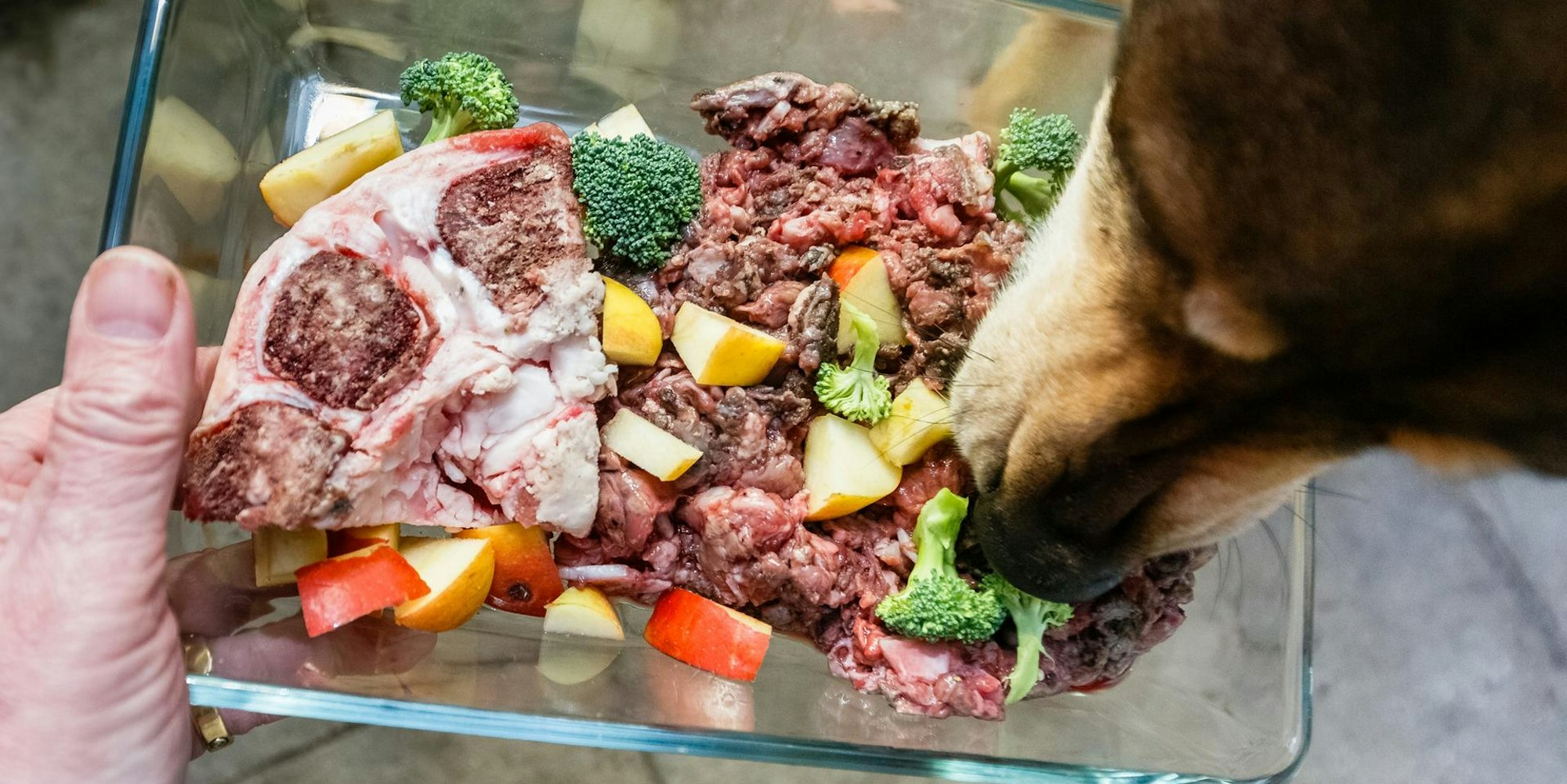 Barf_Frischfleisch_für_Hunde