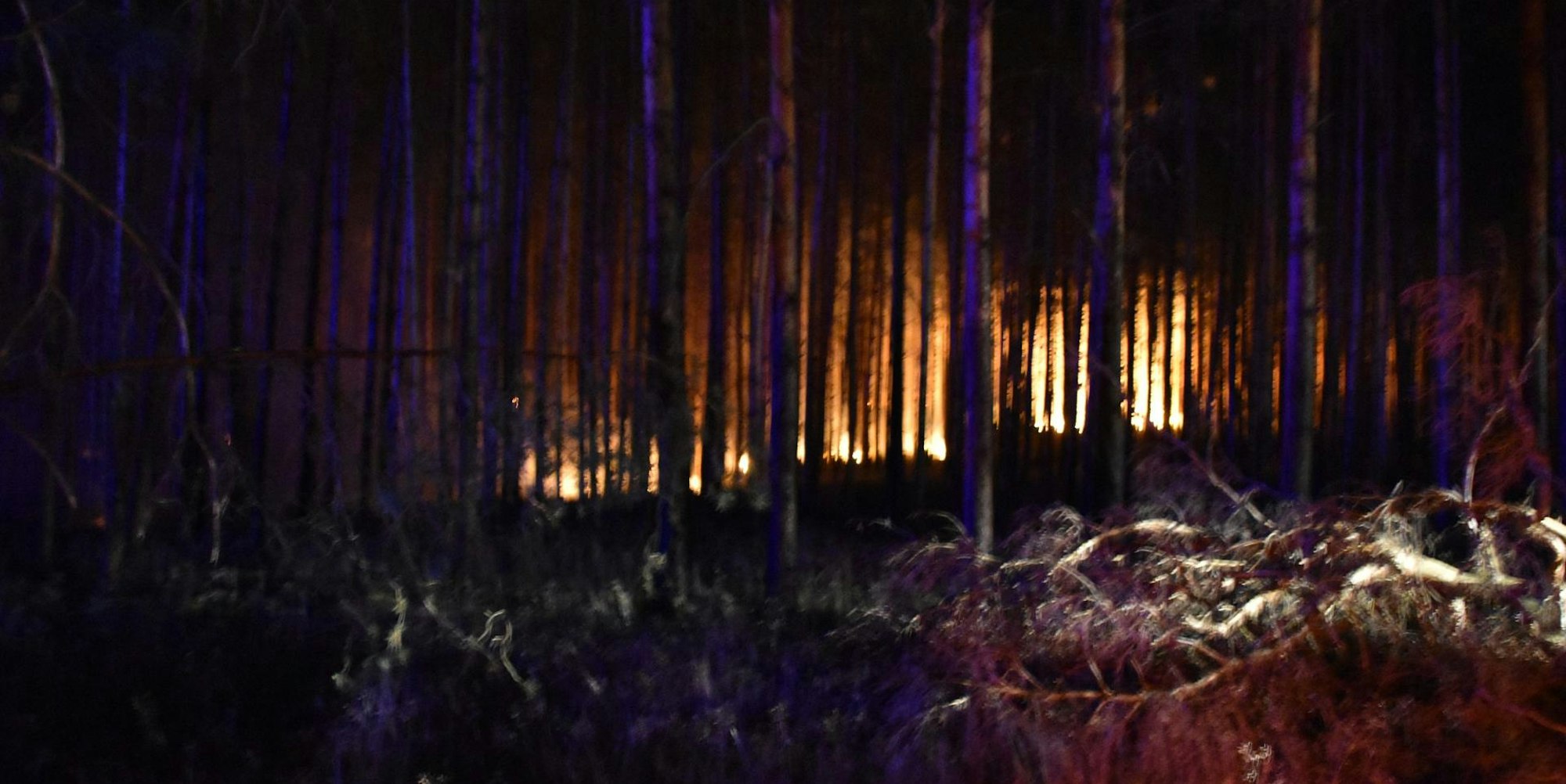 Waldbrand Brandenburg DPA 190622