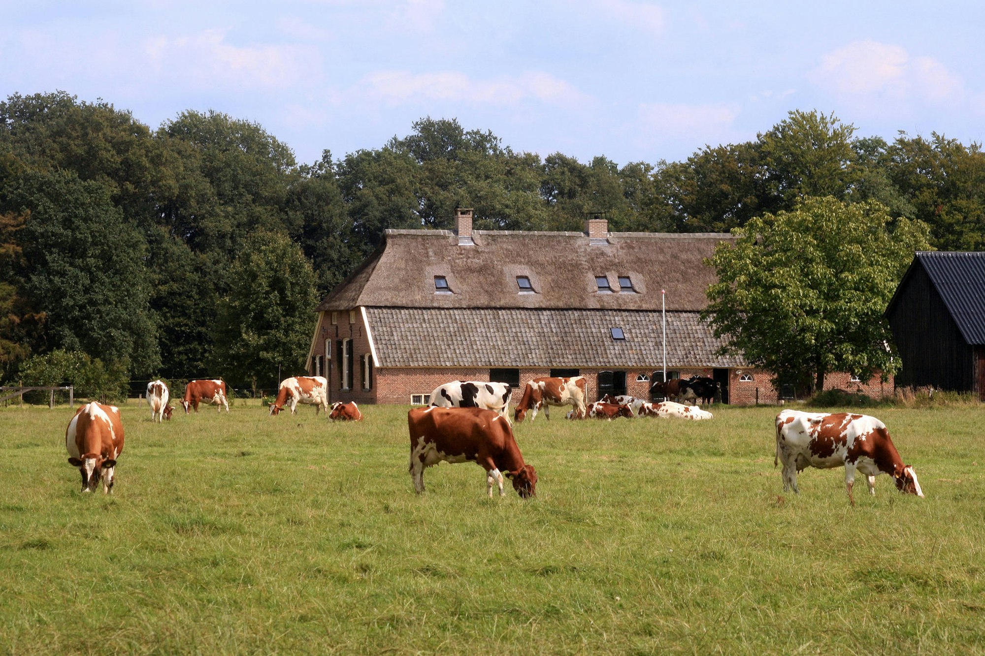 Acht_Schloesser_an_e_60608302