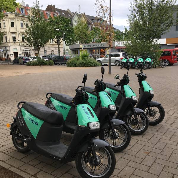 roes-e-scooter-lenau.