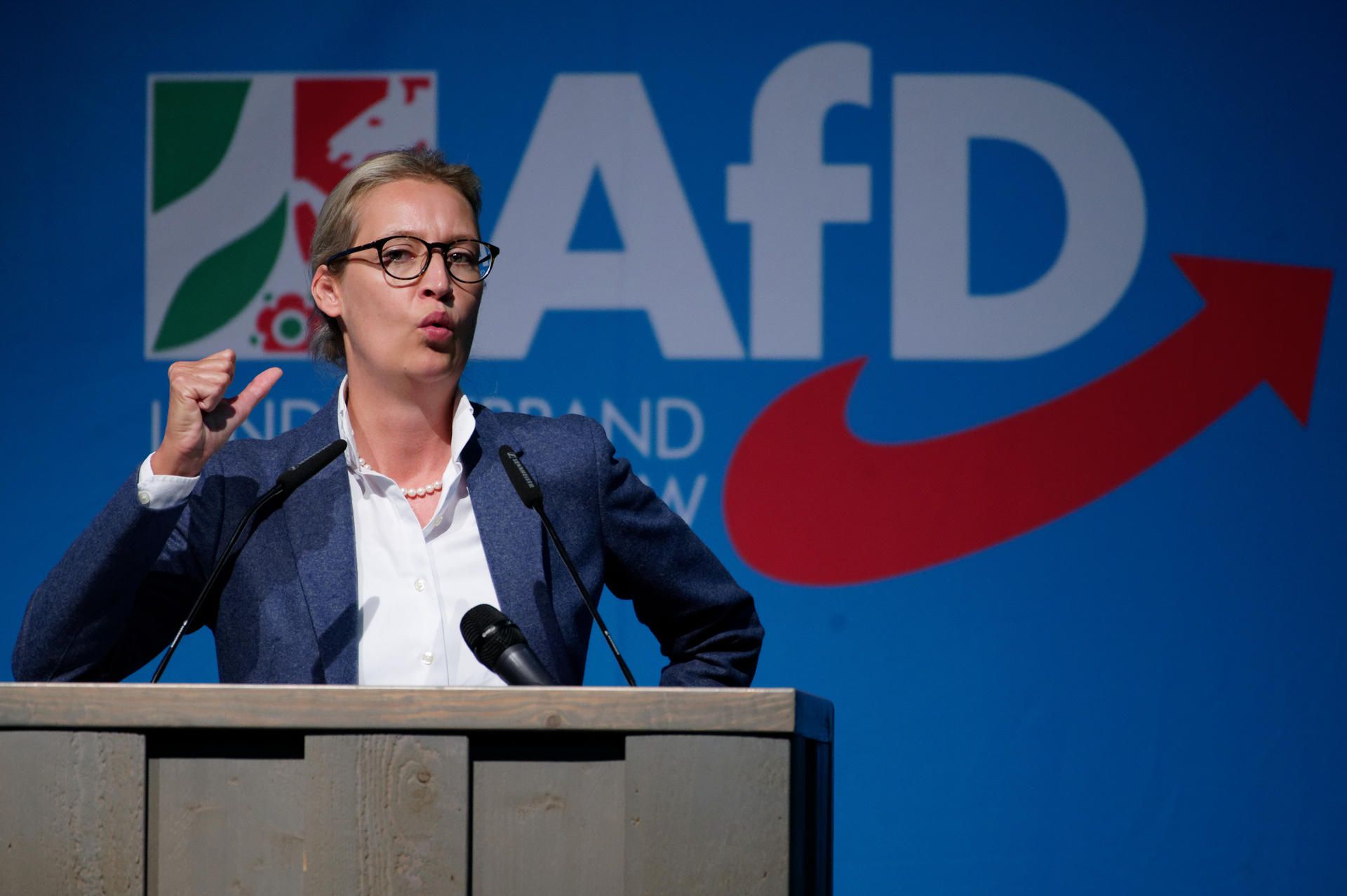 Weidel AfD dpa