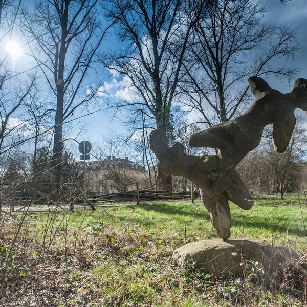 leverkusen-schlosspark-ALF_8502