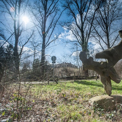 leverkusen-schlosspark-ALF_8502