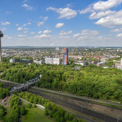 MDS-EXP-2019-03-24-71-145441170