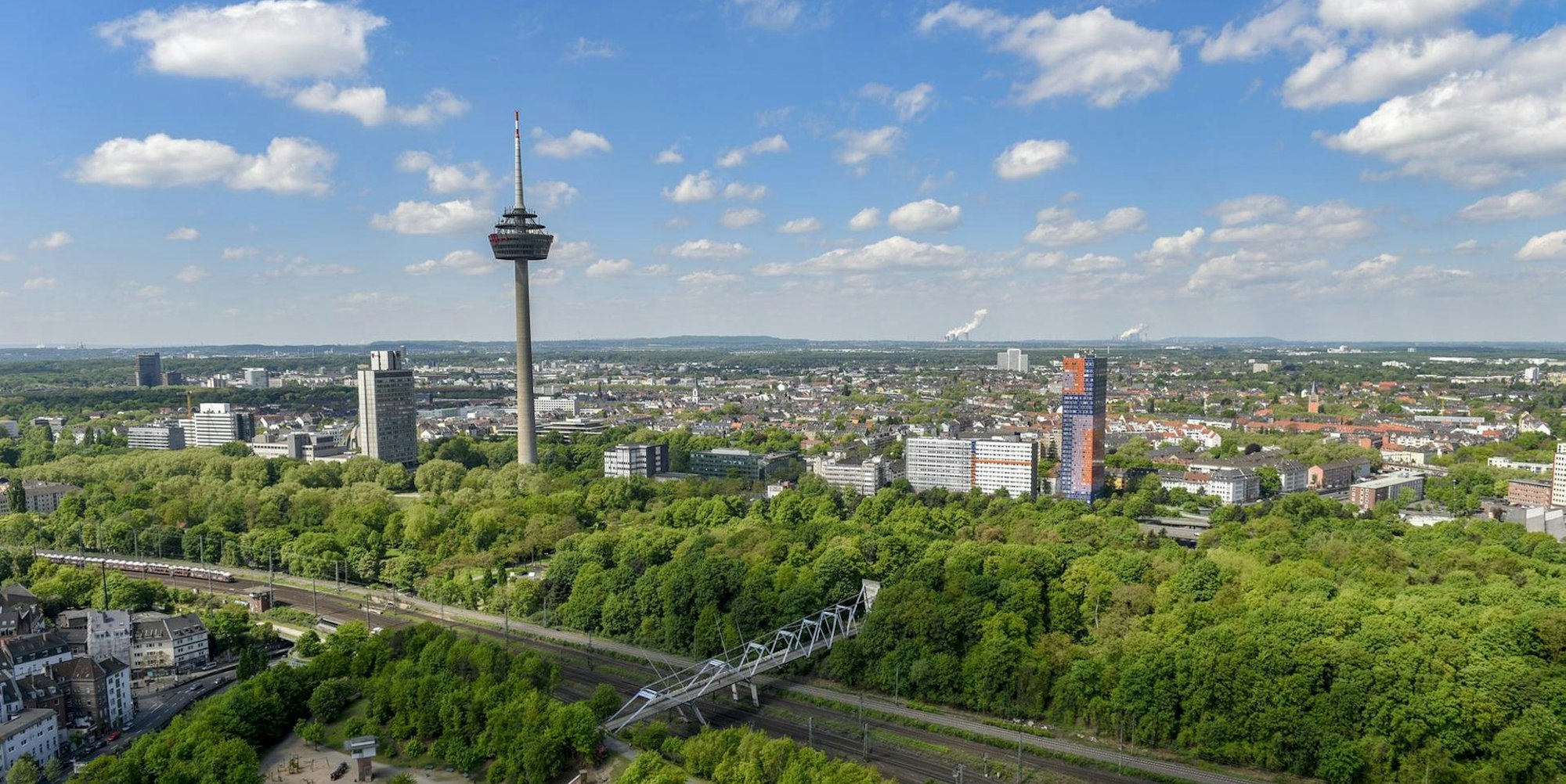 MDS-EXP-2019-03-24-71-145441170