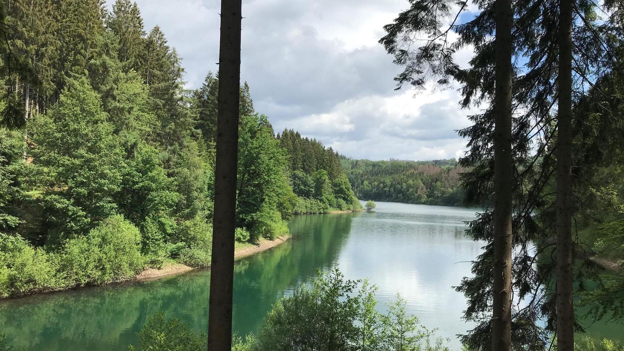 Blick auf das tiefgrüne Wasser mit Wald runderherum der Genkeltalsperre.