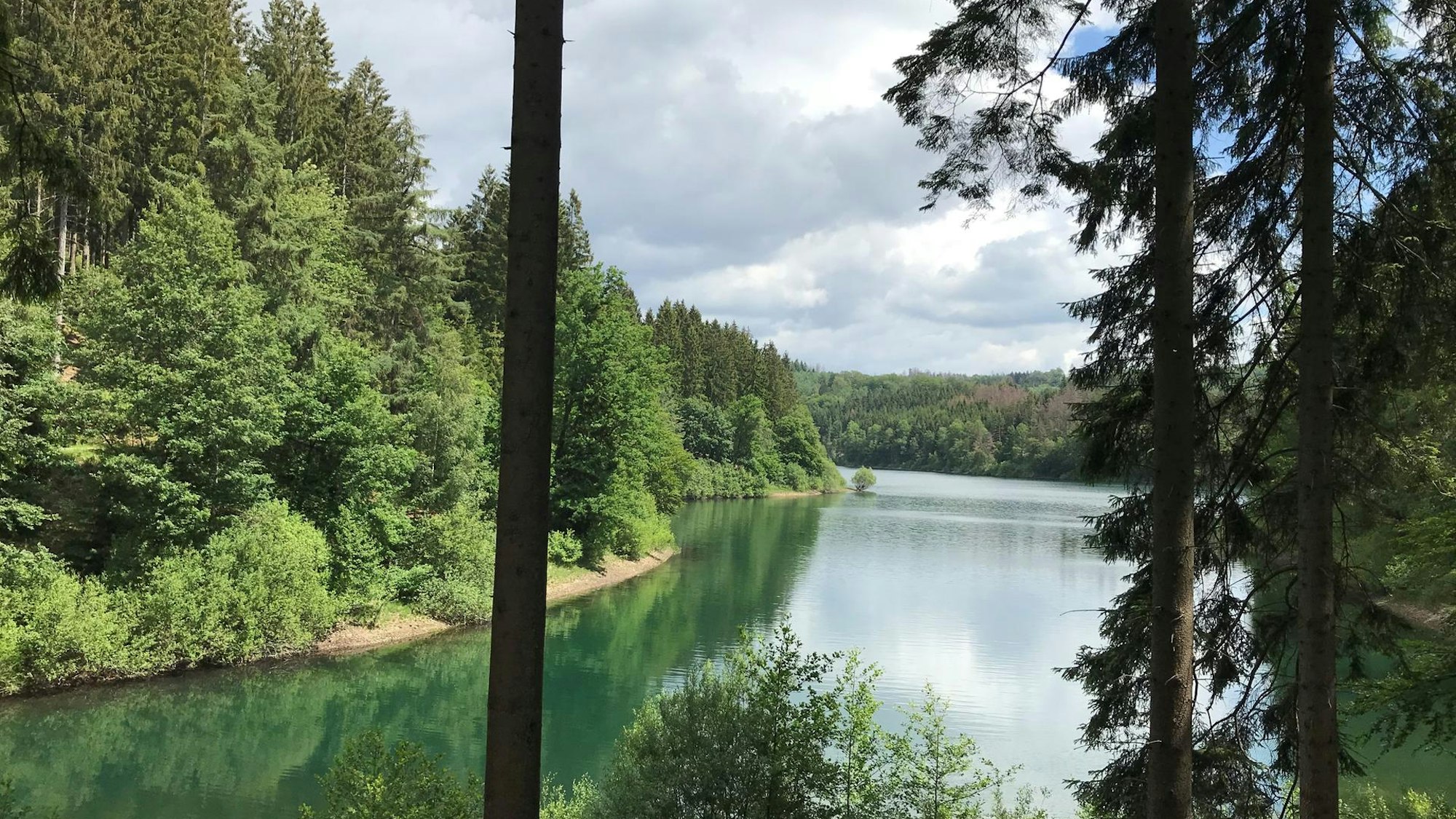 Blick auf das tiefgrüne Wasser mit Wald runderherum der Genkeltalsperre.