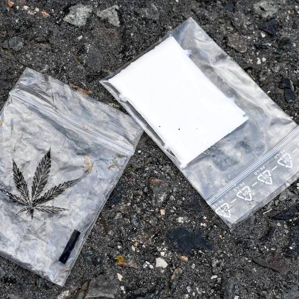 Cannabis