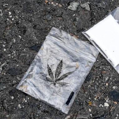 Cannabis