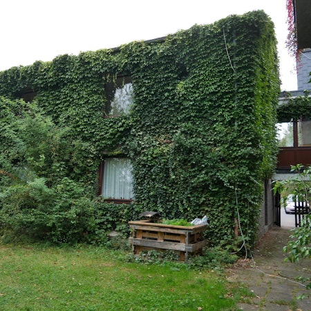 Neuer Inhalt
