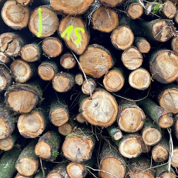 le-Holzstapel
