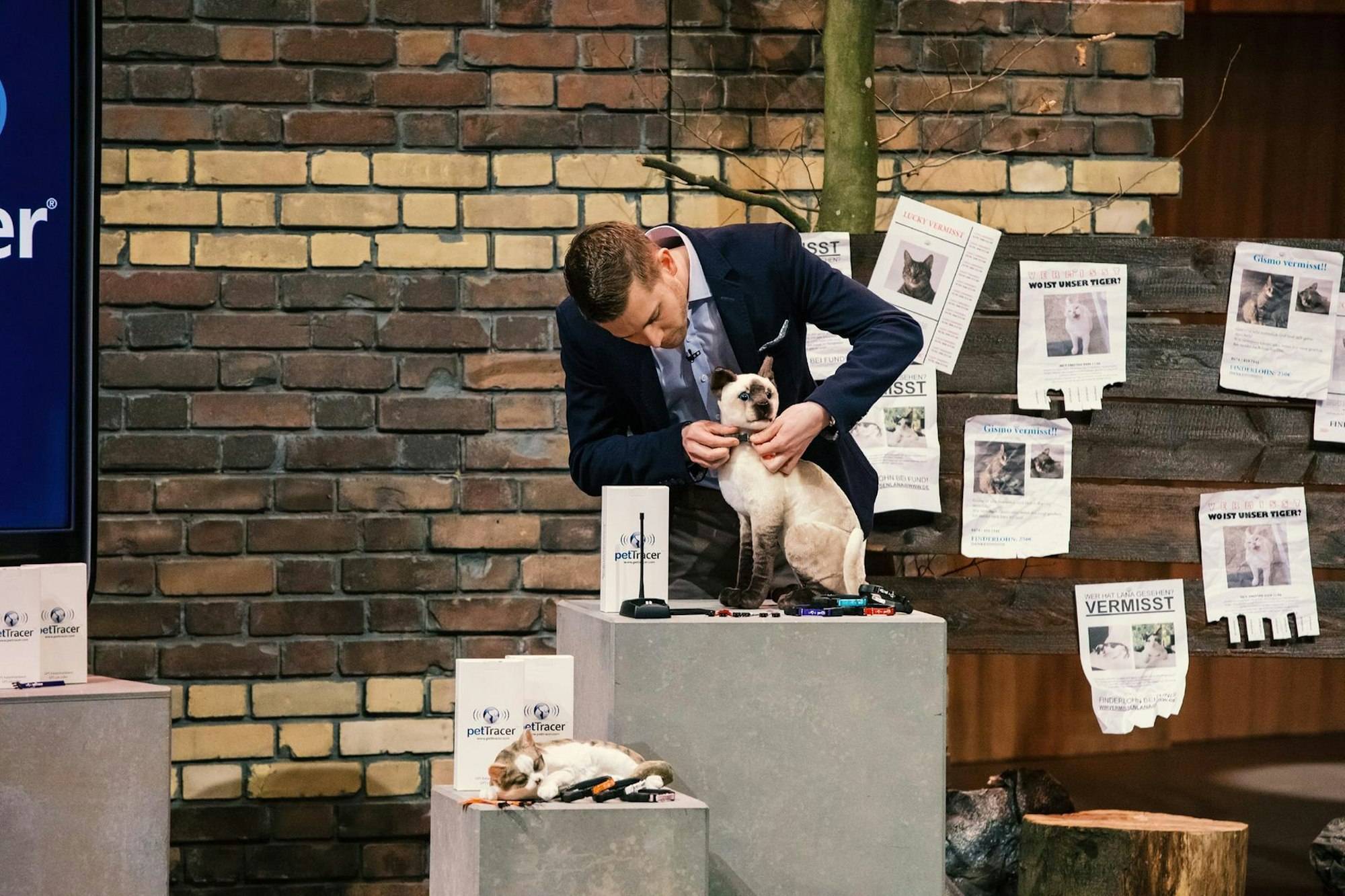 DHDL Katzenhalsband 2