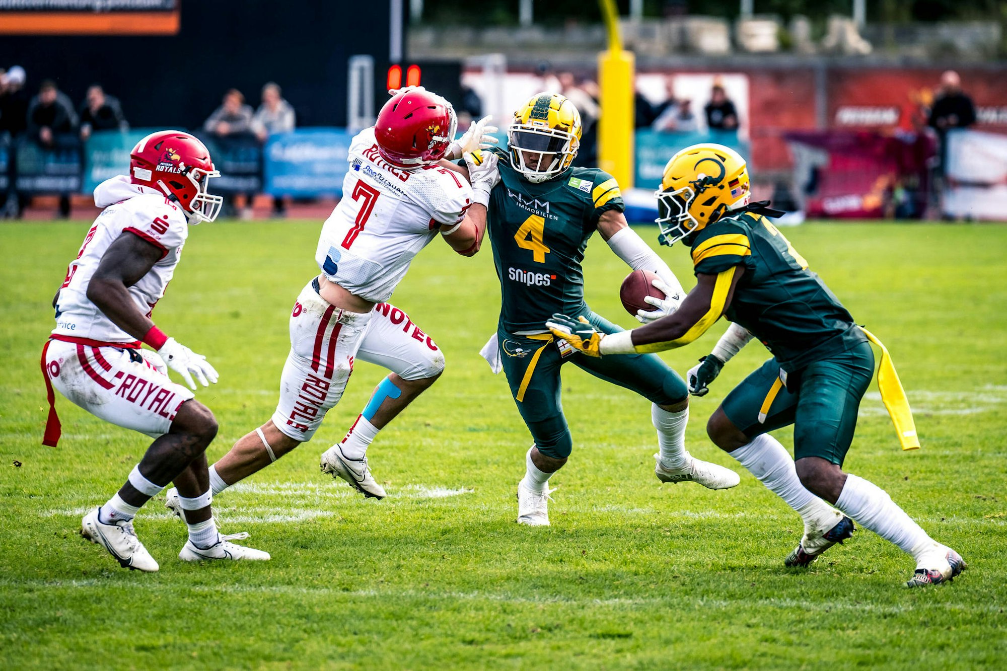 Crocodiles in Potsdam