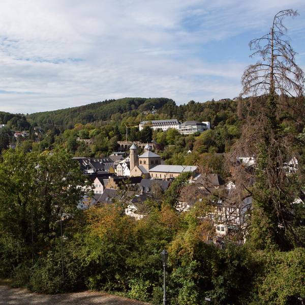 Heimatcheck_Blick_auf_Bam-8663