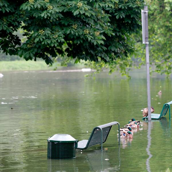 20160601_tb_Rheinhochwasser_012