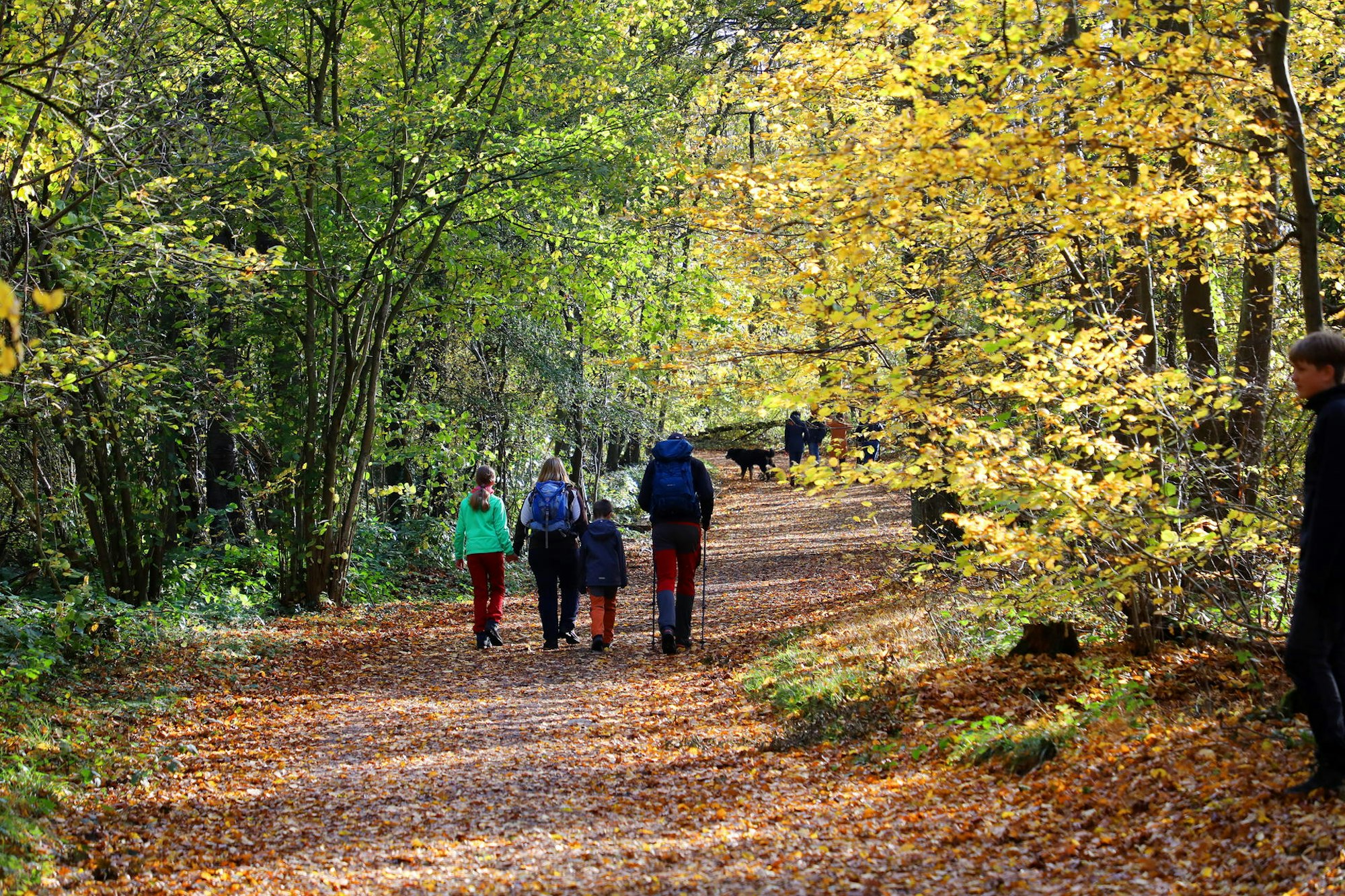 Siebengebirge_Rabenlay-Oberdollendorf_8075
