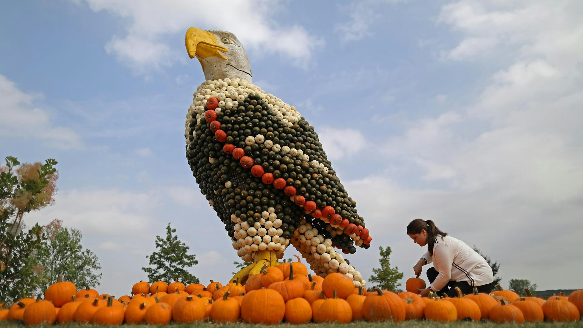 Impression von der Kürbisschau auf dem Krewelshof.