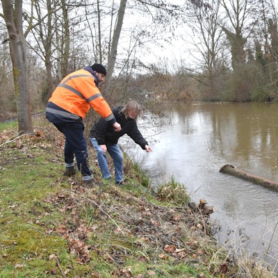 bb-Wilde-Rodungen-Erftufer-FTZ (7)